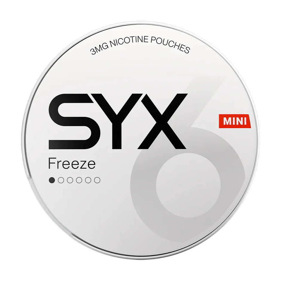 SYX Freeze Mini MI 1/6