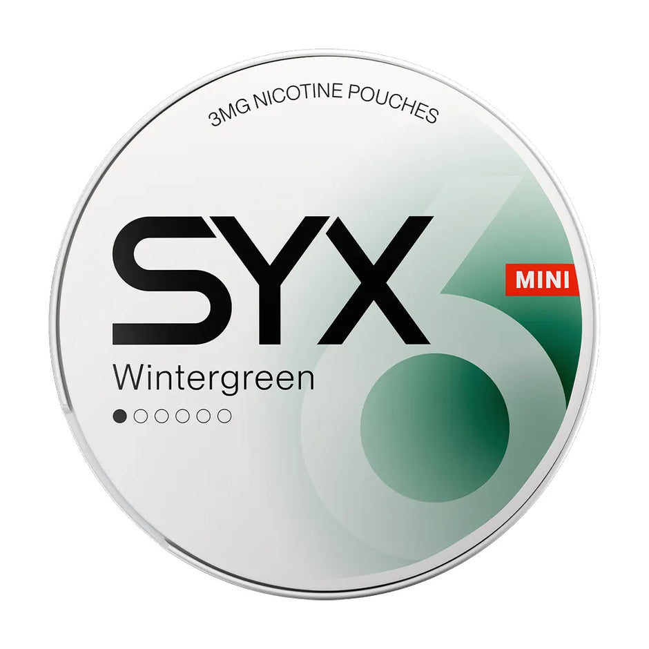 SYX Wintergreen Mini MI 1/6