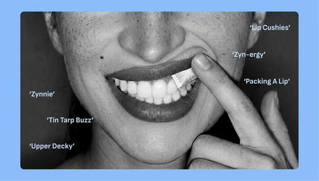 What is an Upper Decky Lip Pillow? (ZYN Slang Explained)