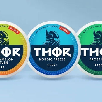 Thor Nicotine Pouches Expert Review