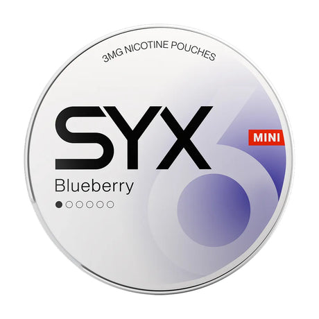 SYX Blueberry Mini MI 1/6