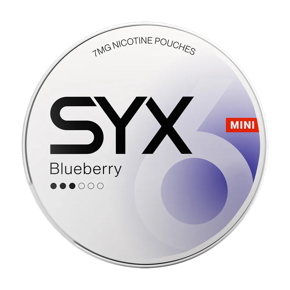 SYX Blueberry Mini MI 3/6