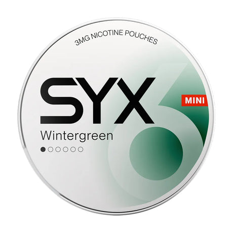 SYX Wintergreen Mini MI 1/6